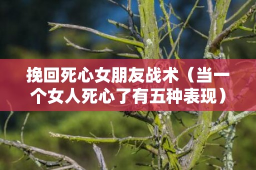 挽回死心女朋友战术（当一个女人死心了有五种表现）