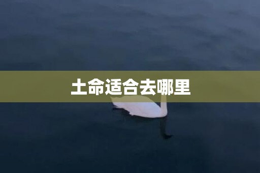 土命适合去哪里