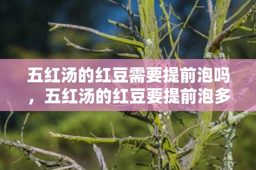 五红汤的红豆需要提前泡吗，五红汤的红豆要提前泡多久才能煮