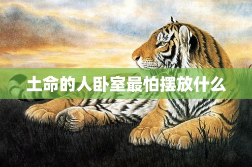 土命的人卧室最怕摆放什么