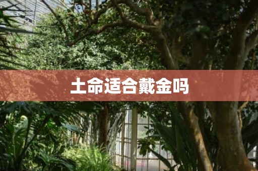 土命适合戴金吗