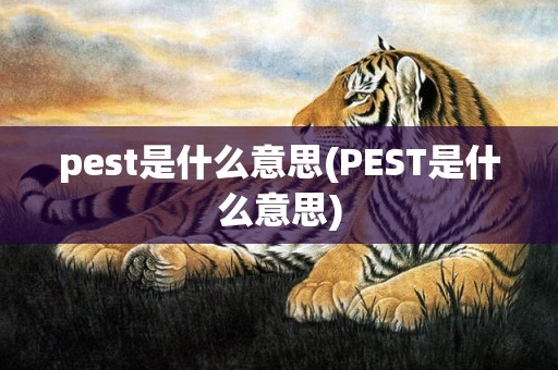 pest是什么意思(PEST是什么意思)