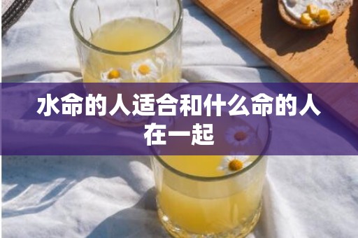 水命的人适合和什么命的人在一起