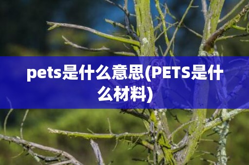 pets是什么意思(PETS是什么材料)