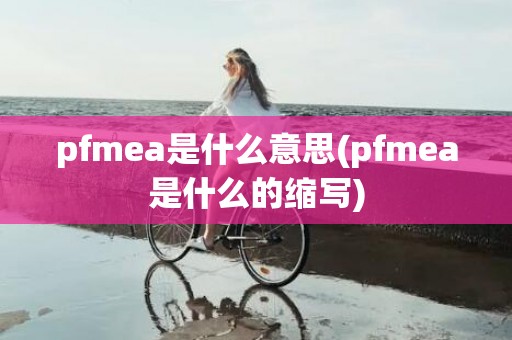 pfmea是什么意思(pfmea是什么的缩写)