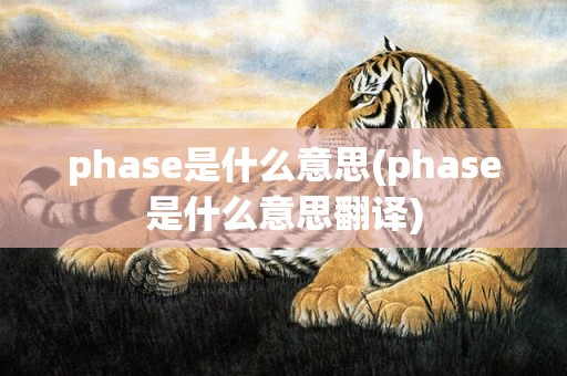 phase是什么意思(phase是什么意思翻译)