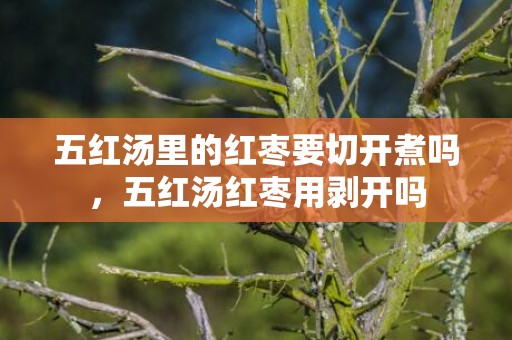五红汤里的红枣要切开煮吗，五红汤红枣用剥开吗