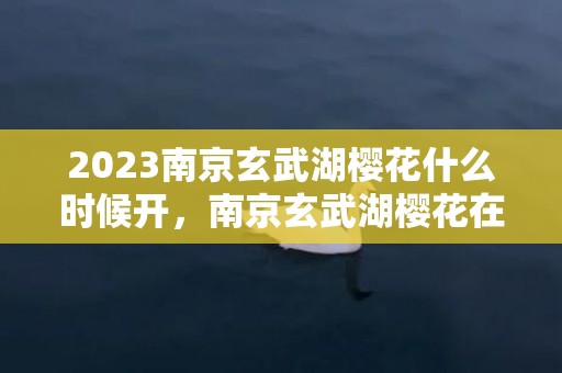 2023南京玄武湖樱花什么时候开，南京玄武湖樱花在哪里游玩攻略