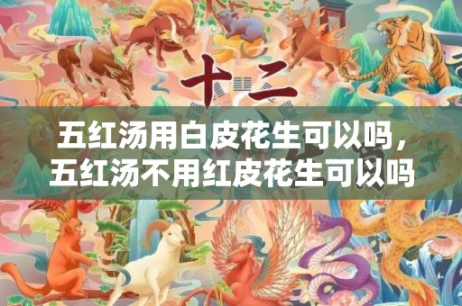 五红汤用白皮花生可以吗，五红汤不用红皮花生可以吗