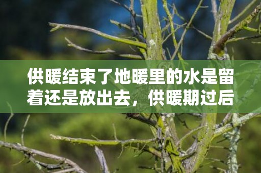 供暖结束了地暖里的水是留着还是放出去，供暖期过后地暖管子里还有水吗