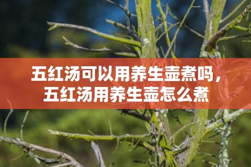 五红汤可以用养生壶煮吗，五红汤用养生壶怎么煮