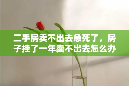 二手房卖不出去急死了，房子挂了一年卖不出去怎么办