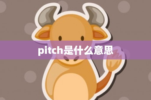 pitch是什么意思