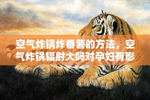 空气炸锅炸番薯的方法，空气炸锅辐射大吗对孕妇有影响吗，空气炸锅辐射大还是烤箱辐射大