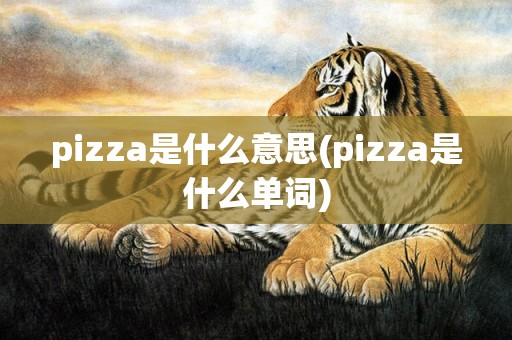pizza是什么意思(pizza是什么单词)