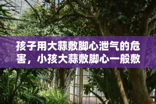 孩子用大蒜敷脚心泄气的危害，小孩大蒜敷脚心一般敷多久，小孩大蒜敷脚心起泡了能洗澡吗