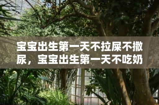 宝宝出生第一天不拉屎不撒尿，宝宝出生第一天不吃奶光睡觉怎么办，宝宝出生第一天打嗝怎么办