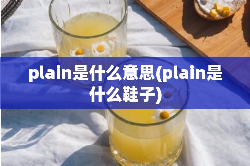 plain是什么意思(plain是什么鞋子)