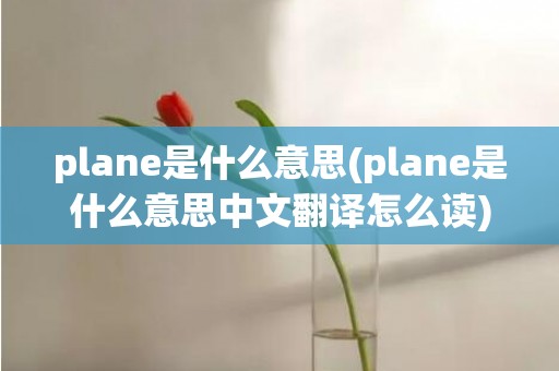 plane是什么意思(plane是什么意思中文翻译怎么读)
