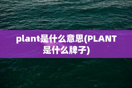 plant是什么意思(PLANT是什么牌子)