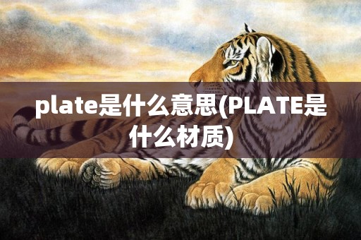 plate是什么意思(PLATE是什么材质)
