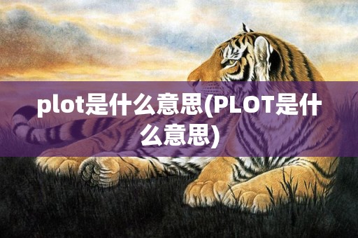 plot是什么意思(PLOT是什么意思)