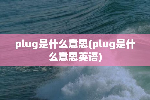 plug是什么意思(plug是什么意思英语)