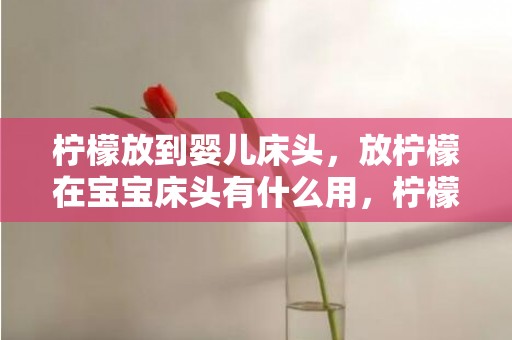 柠檬放到婴儿床头，放柠檬在宝宝床头有什么用，柠檬放床头要切开不