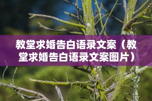 教堂求婚告白语录文案（教堂求婚告白语录文案图片）
