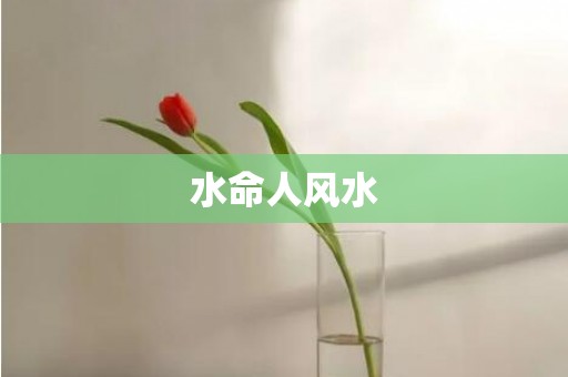 水命人风水