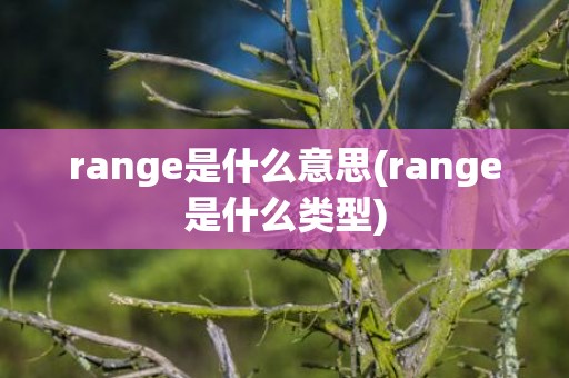 range是什么意思(range是什么类型)