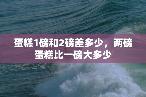 蛋糕1磅和2磅差多少，两磅蛋糕比一磅大多少