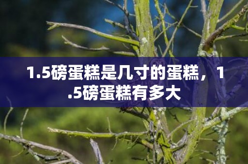 1.5磅蛋糕是几寸的蛋糕，1.5磅蛋糕有多大