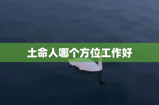 土命人哪个方位工作好