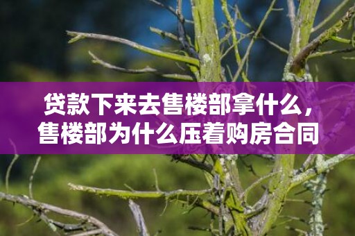 贷款下来去售楼部拿什么，售楼部为什么压着购房合同不给