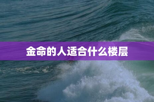 金命的人适合什么楼层