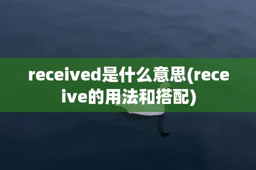 received是什么意思(receive的用法和搭配)