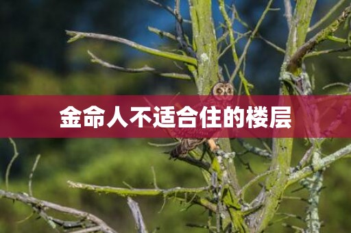 金命人不适合住的楼层