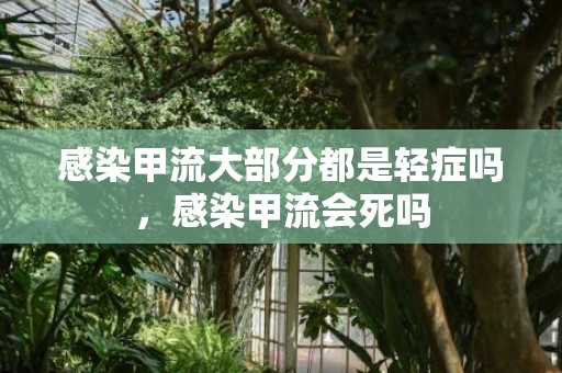 感染甲流大部分都是轻症吗，感染甲流会死吗
