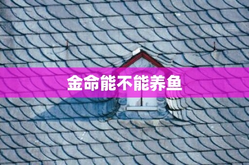 金命能不能养鱼