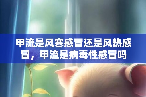 甲流是风寒感冒还是风热感冒，甲流是病毒性感冒吗