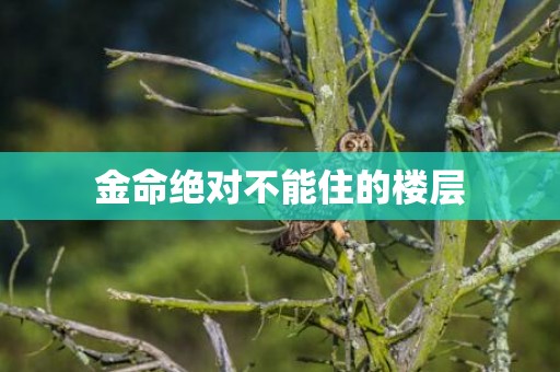 金命绝对不能住的楼层