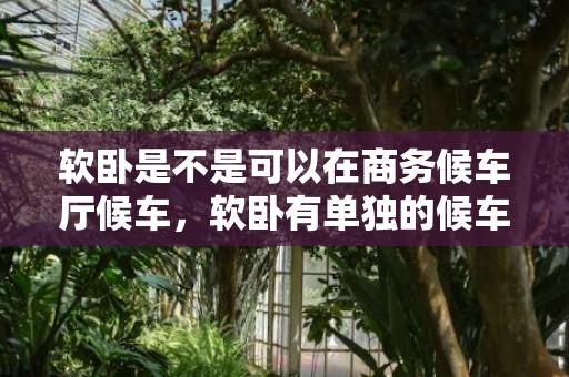 软卧是不是可以在商务候车厅候车，软卧有单独的候车室吗