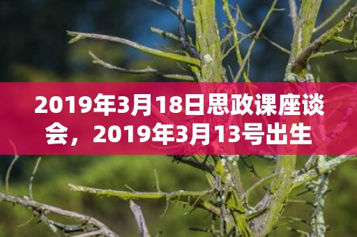 2019年3月18日思政课座谈会，2019年3月13号出生的女宝宝五行缺土要怎么样起名字