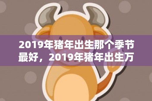 2019年猪年出生那个季节最好，2019年猪年出生万俟姓女孩怎么样起名字，万俟姓女孩好名推荐