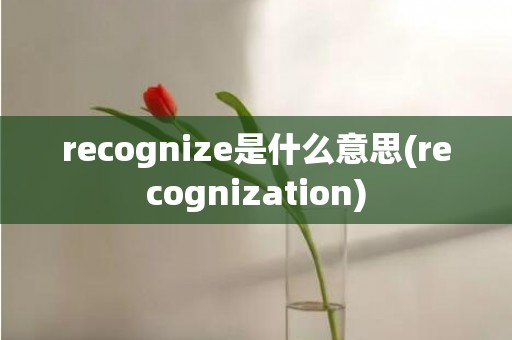 recognize是什么意思(recognization)