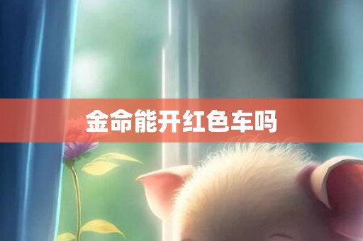 金命能开红色车吗
