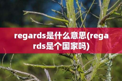 regards是什么意思(regards是个国家吗)