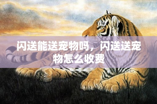 闪送能送宠物吗，闪送送宠物怎么收费