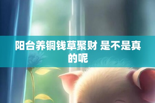 阳台养铜钱草聚财 是不是真的呢